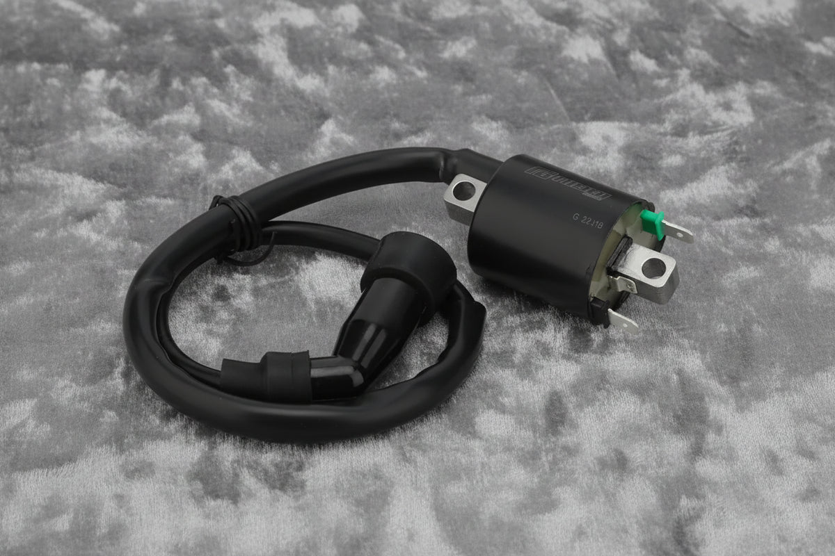 Nibbi Ignition Coil