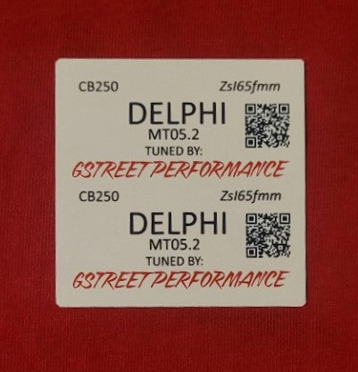 Mail In ECU Flashing Service Gstreet Performance Tune For: Xpro X24 / Xpro Roadster 250 / Vitacci GTX 250 / Vittacci Titan 250 / Vittacci XMT 250/ Venom Superbike / Venom X22r Max / Boom Bd250 / cb250d / 165fmm