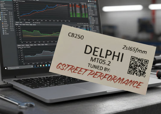 Mobile ECU Flashing / Tuning Service